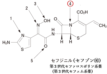 セフジニルの原子のうち、鉄イオンに最も配位しにくいのはどれか 103回薬剤師国家試験問210